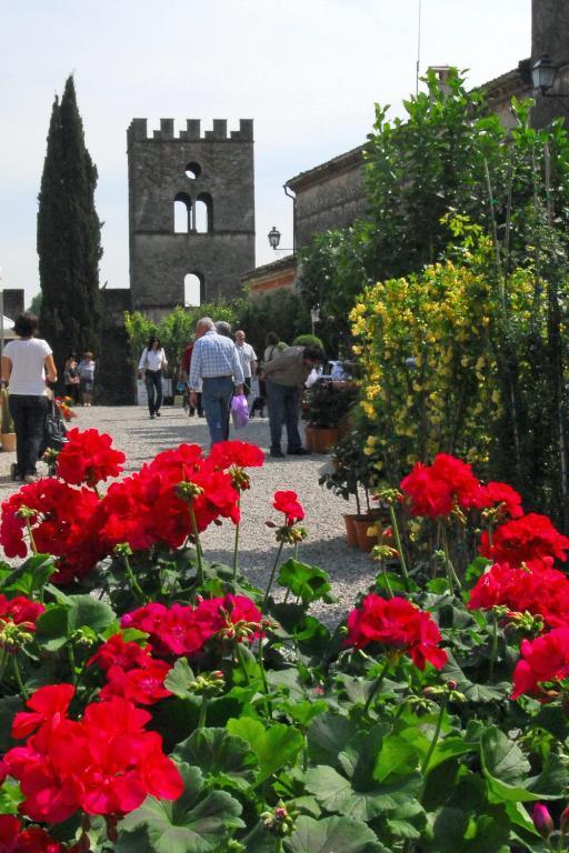 Antica Dimora Dell'Ortolano Appartement Castellaro  Buitenkant foto