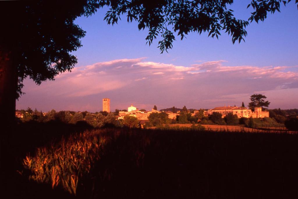 Antica Dimora Dell'Ortolano Appartement Castellaro  Buitenkant foto